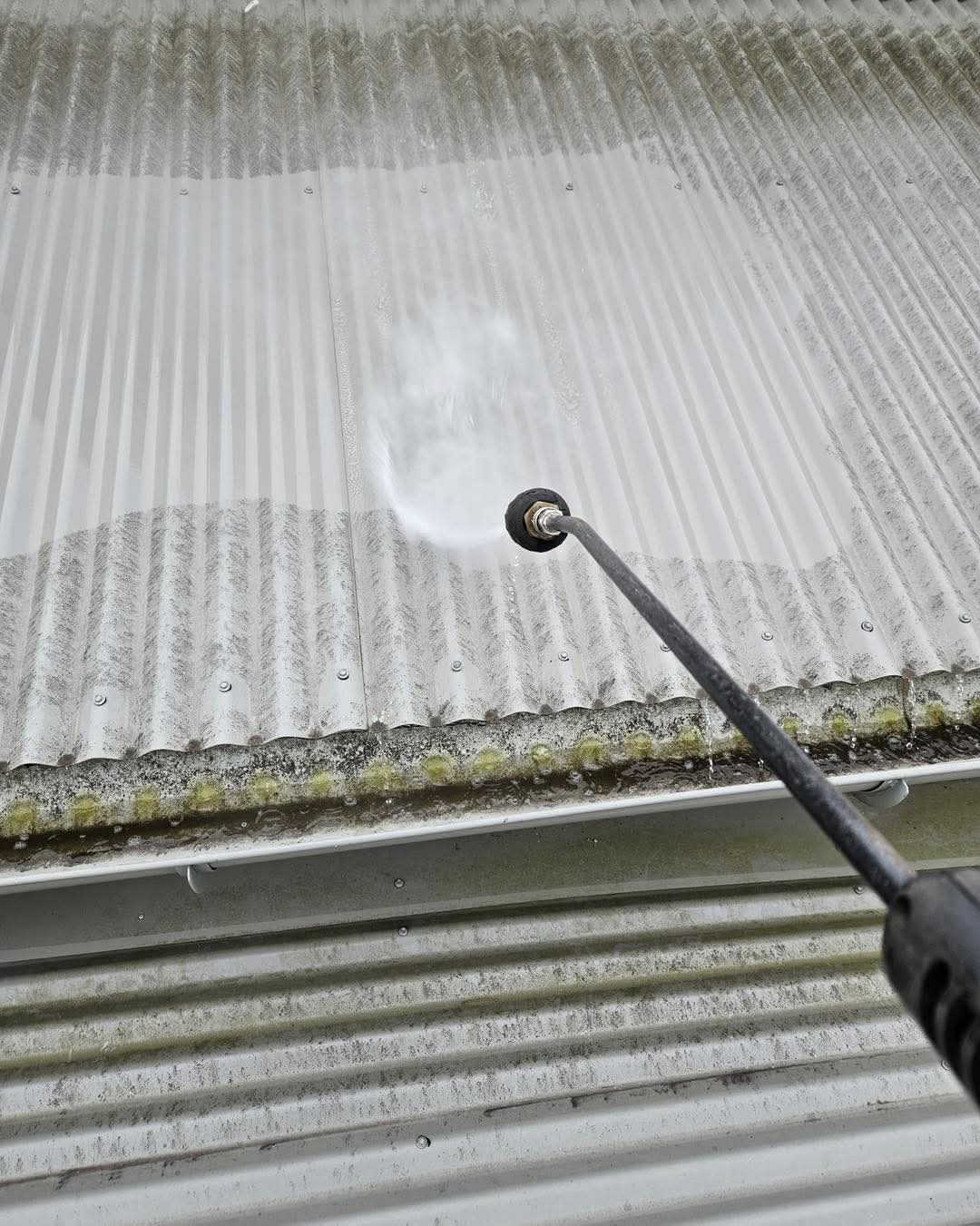 pure window cleaning