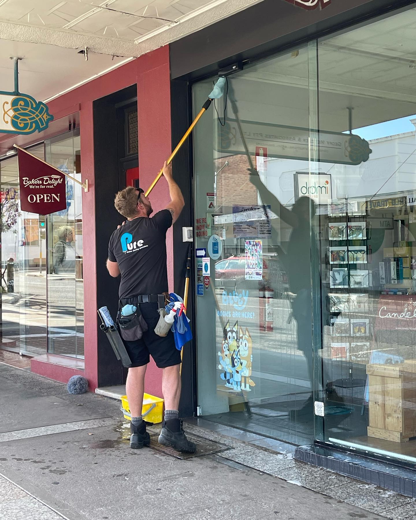 pure window cleaning